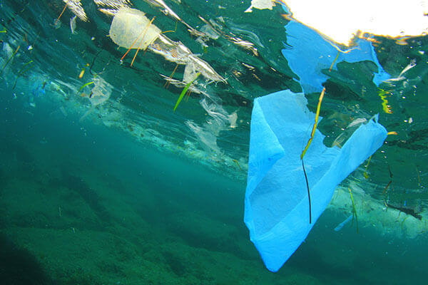 Plastics in the ocean